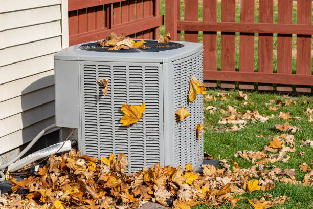 Best Affordable HVAC services  in Forest City, IA